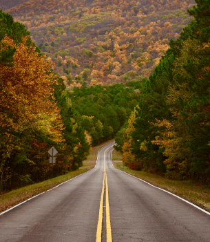 empty autumn road